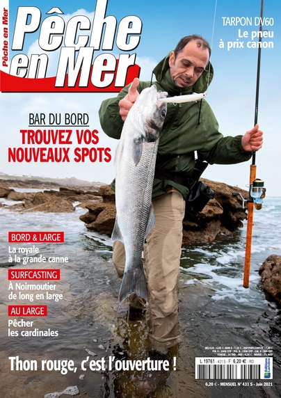 Pêche en mer n°431