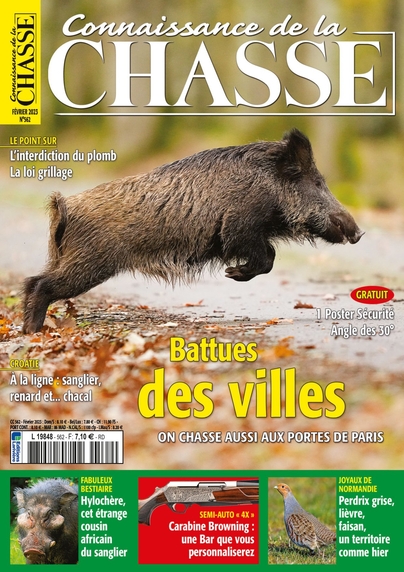 Connaissance de la chasse n° 562