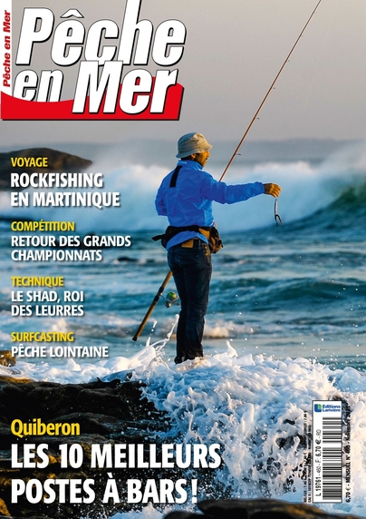 Pêche en mer n° 460