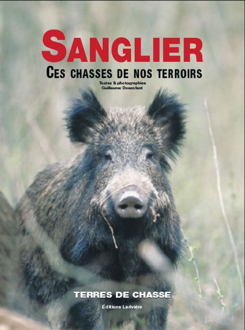 SANGLIER CHASSES DE