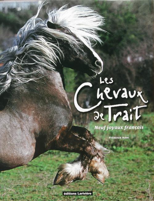 CHEVAUX DE TRAIT