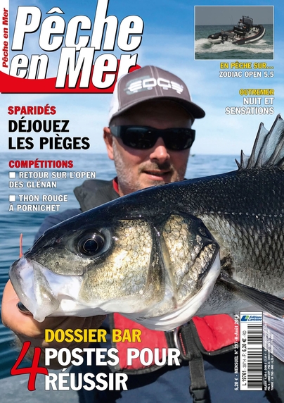 Pêche en mer n° 397